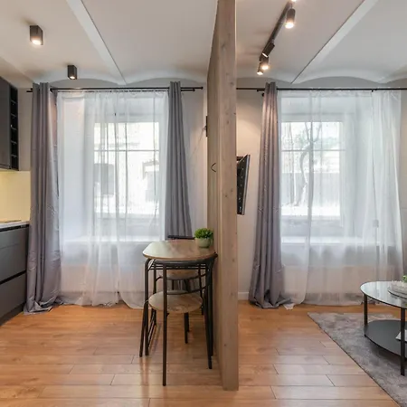 In The Old Town شقة فيلنيوس